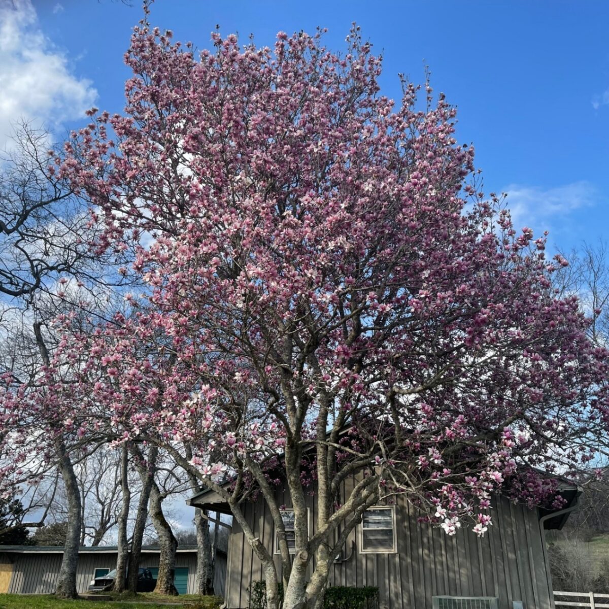 Brooks Healing Center | Normandy, TN