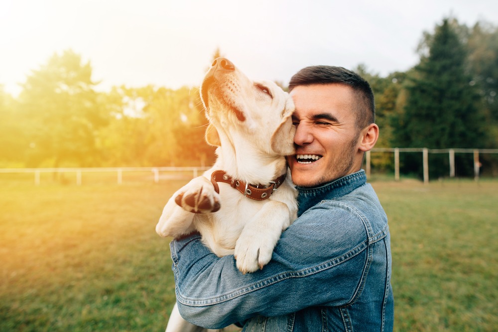 Happy,Young,Man,Holding,Dog,Labrador,In,Hands,At,Sunset