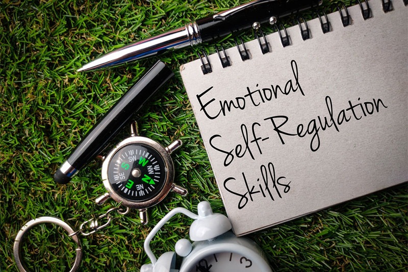 why emotional self-regulation is so valuable