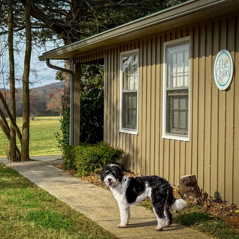 Brooks Staff Dog and Farm background at Brooks rural treatment setting serving nashville and middle tennessee for drug rehab