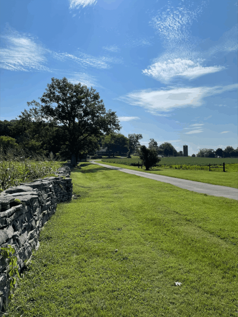 MAT at Brooks Healing Center