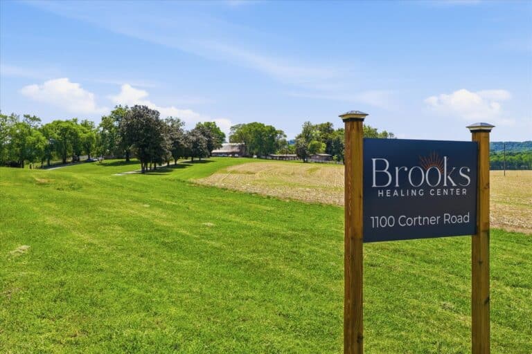 Brooks Driveway and farm field