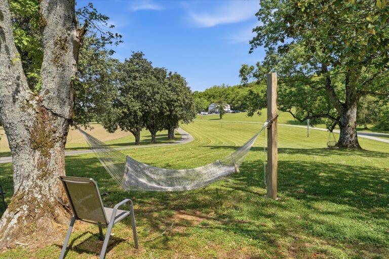hammock brooks