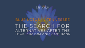 Blue Lotus in Tennessee